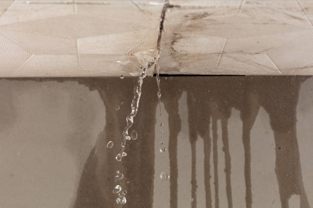 Professional Water Damage Restoration technician working in Edenville, MI
